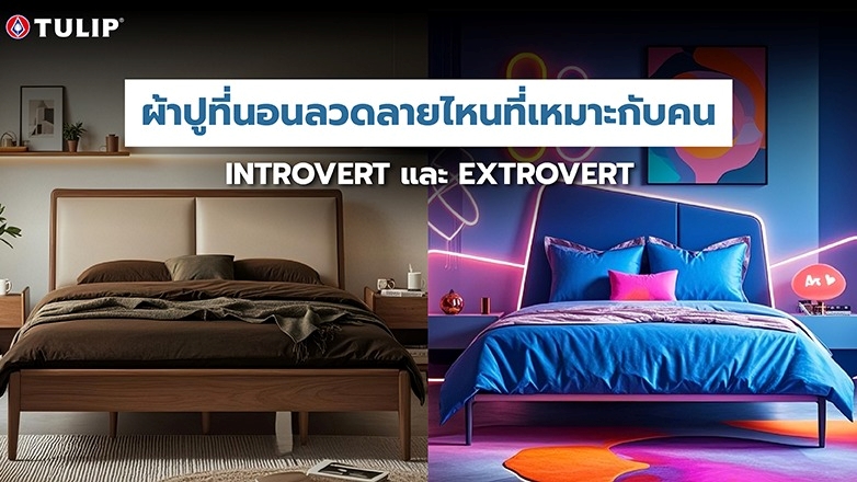 ผ้าปูที่นอนลวดลายไหนที่เหมาะกับคน-introvert-และคน-extrovert