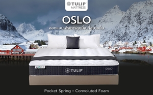OSLO (ออสโล) ที่นอนระบบพ็อกเก็ตสปริง เสริมด้วย Convoluted Foam ช่วยลดแรงกดทับ หนา 10 นิ้ว